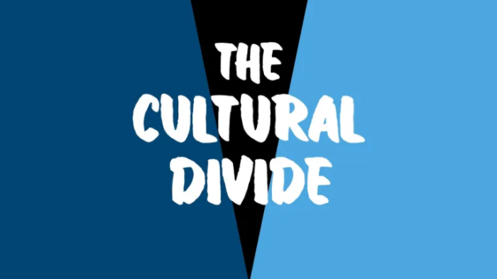 Cultural Divide